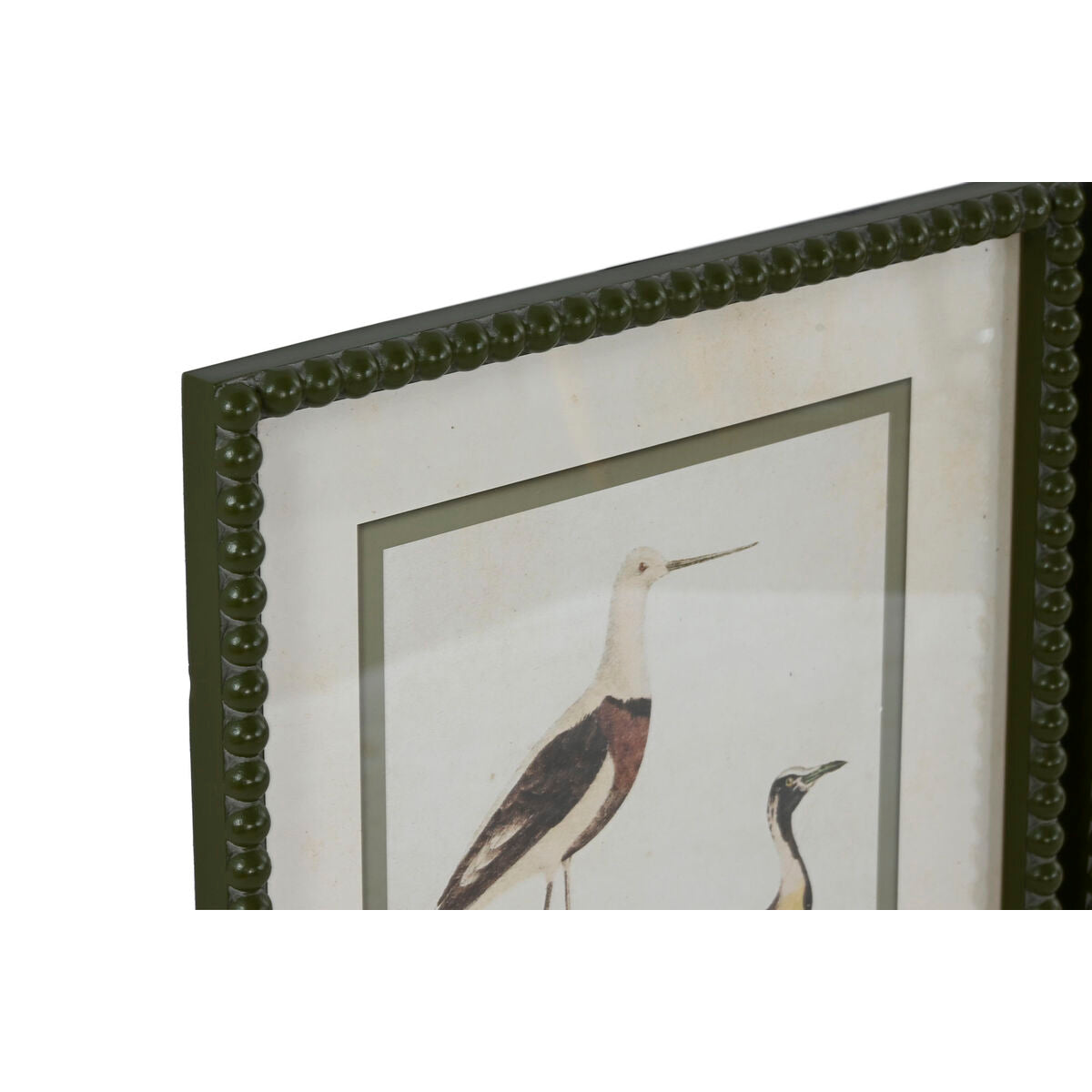 Set de 6 Cadres Oiseaux Naturalistes — Esprit Cabinet de Curiosités