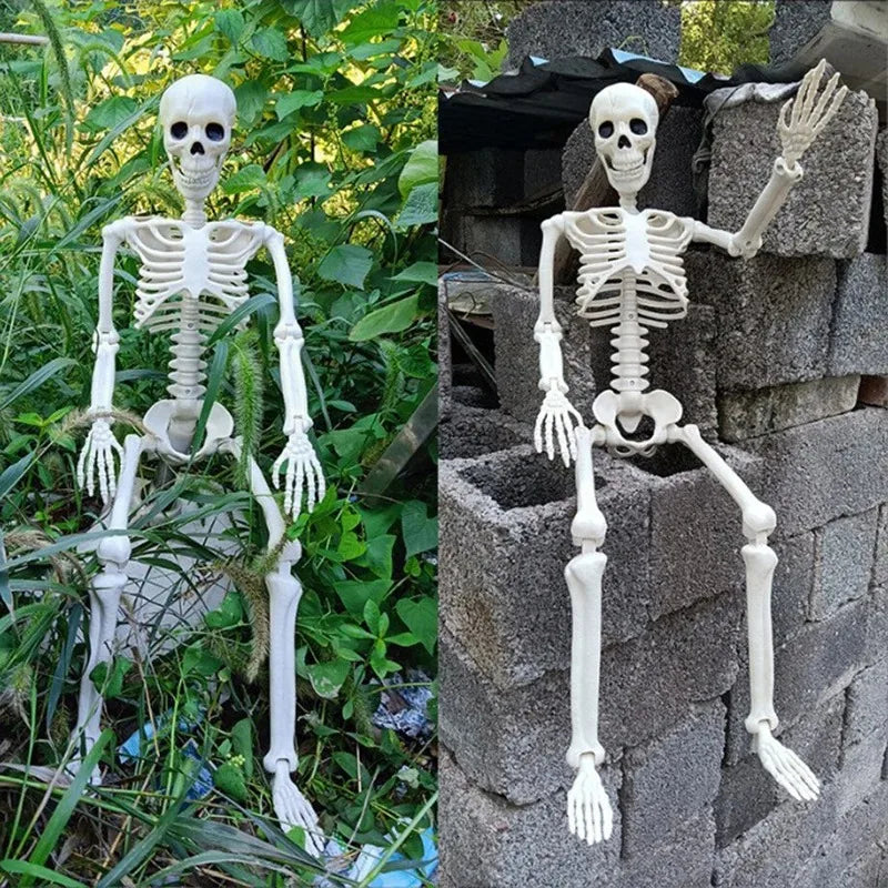 Squelette Articulé