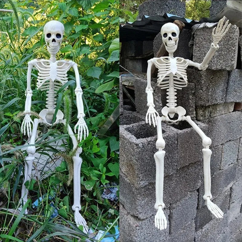 Squelette Hanté