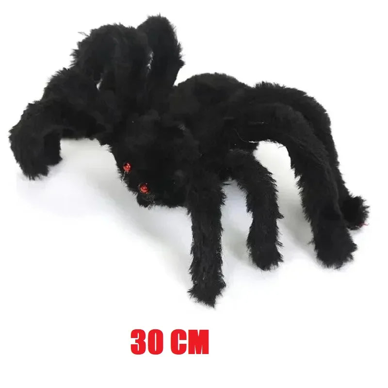Araignée Géante