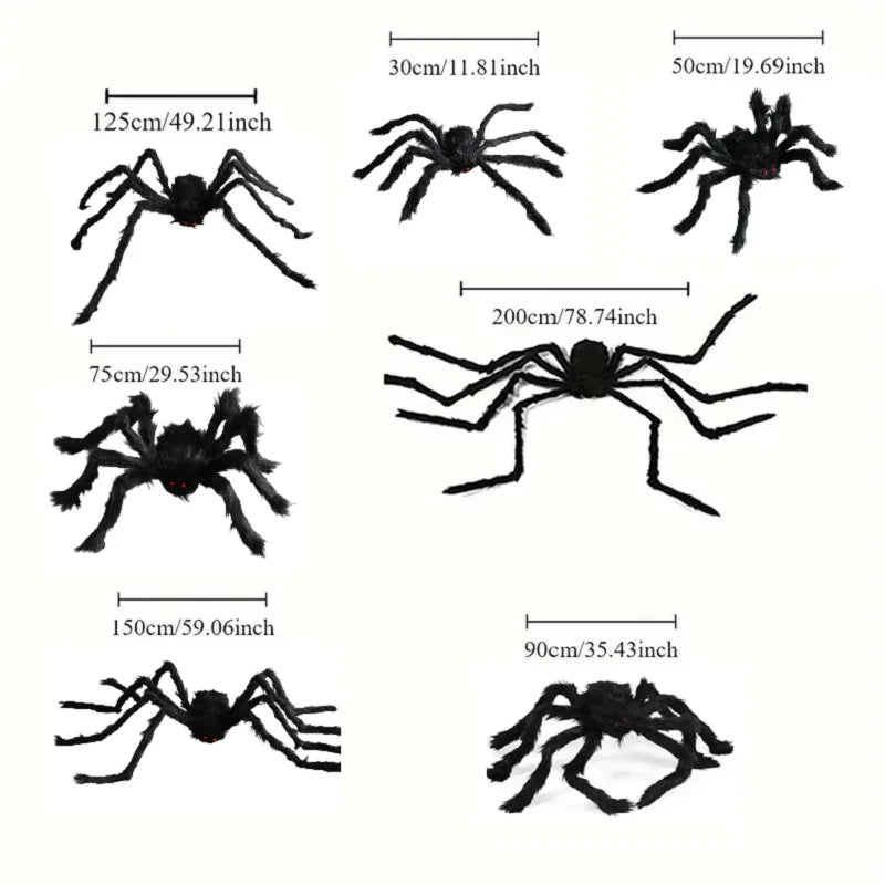 Araignée Géante