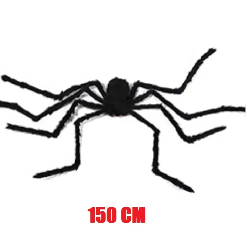 Araignée Géante