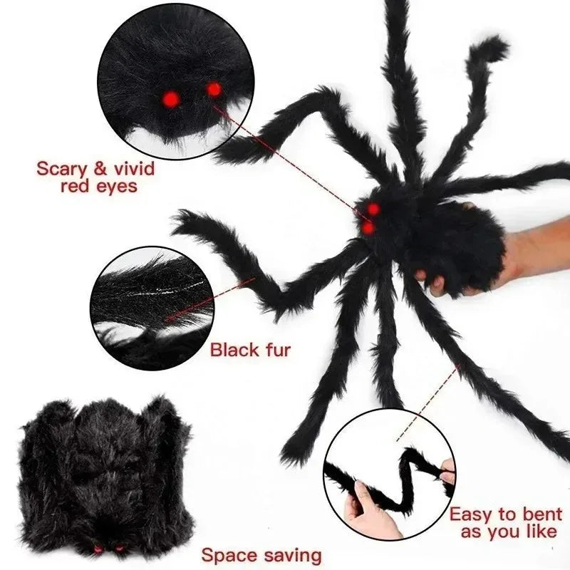 Araignée Géante