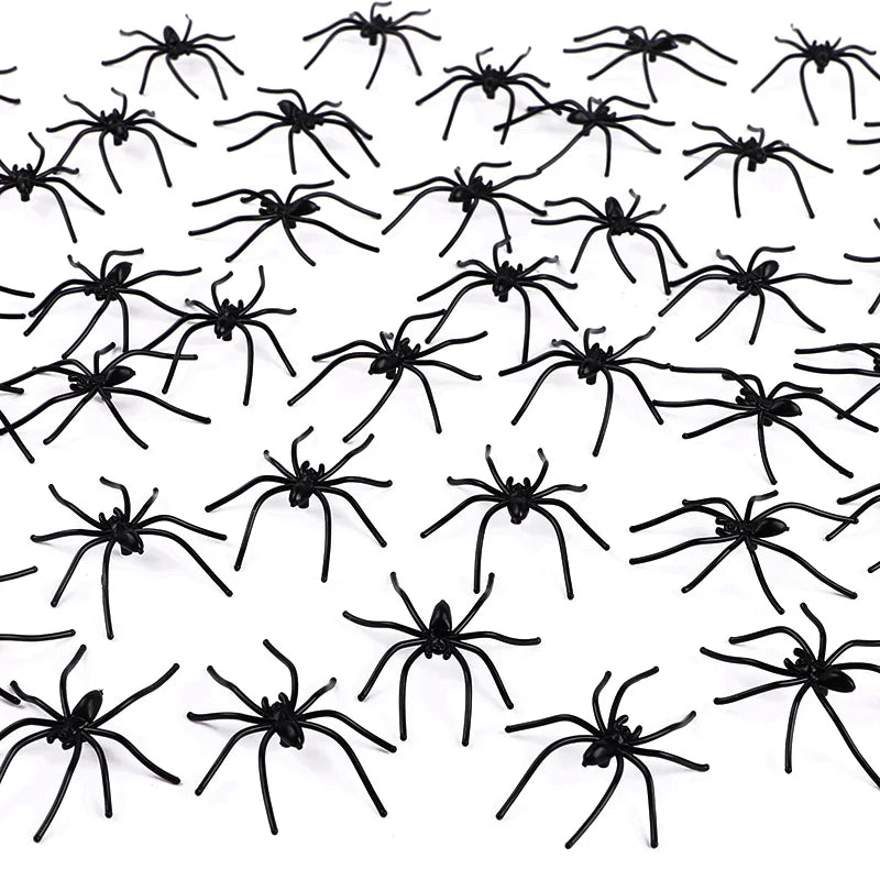 Araignées Phosphorescentes