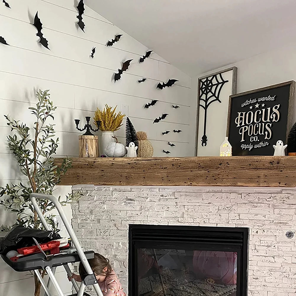 Chauves-souris Murales