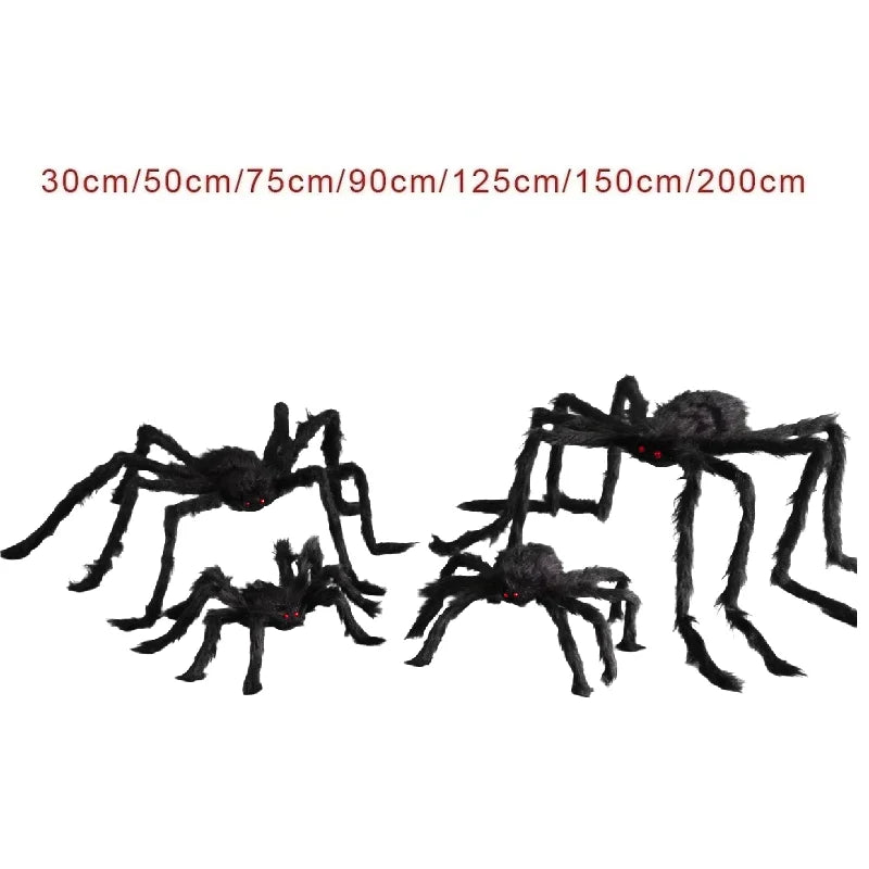 Araignée Géante