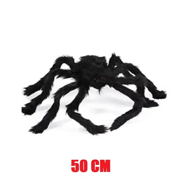 Araignée Géante