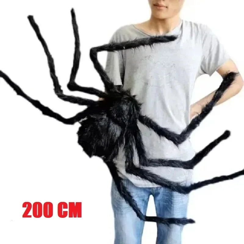Araignée Géante